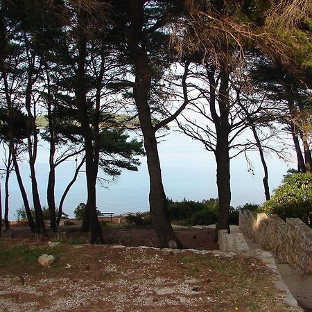 Apartments Matkov - Quite And Peaceful Location Jelsa  Esterno foto