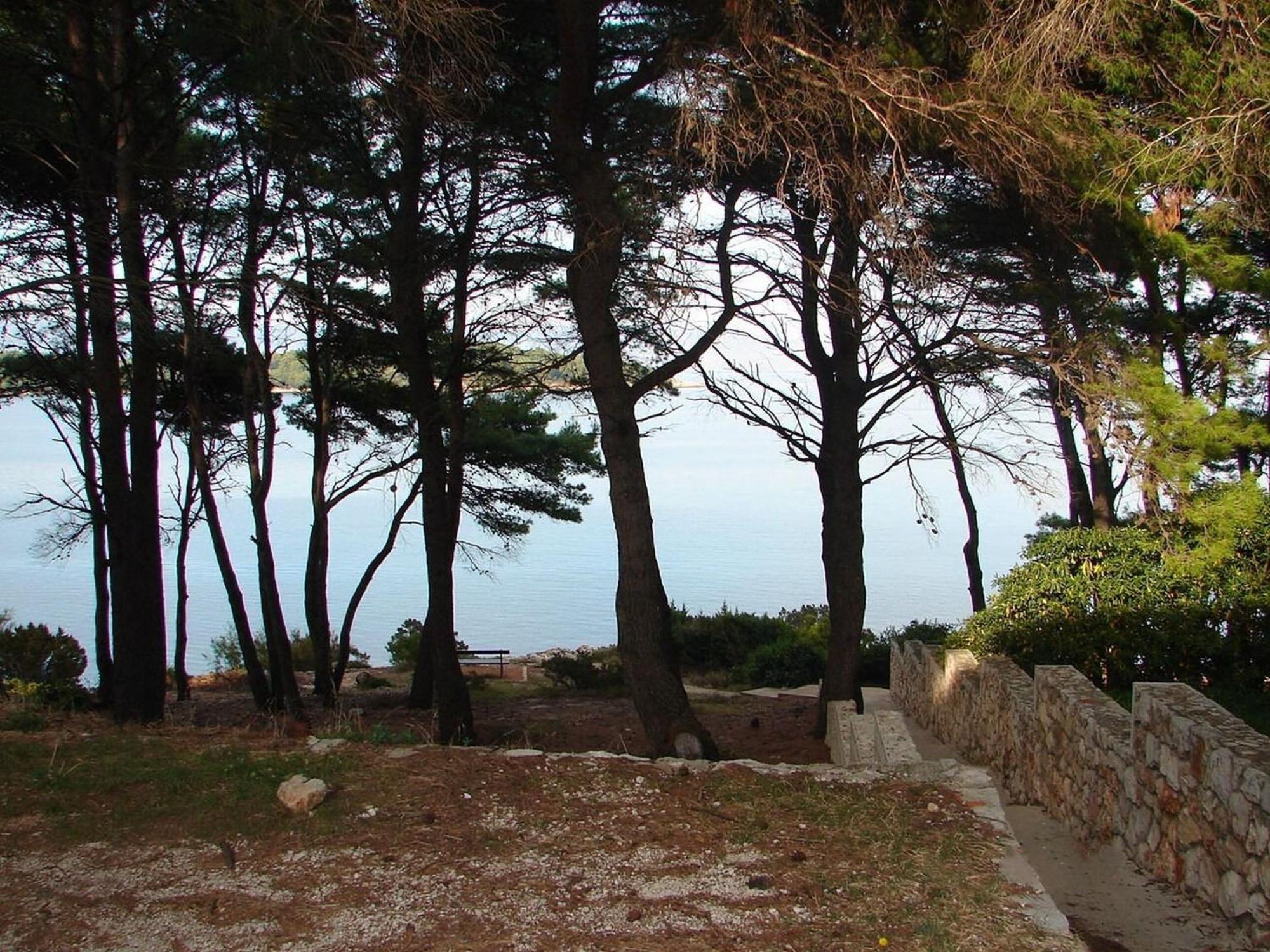 Apartments Matkov - Quite And Peaceful Location Jelsa  Esterno foto