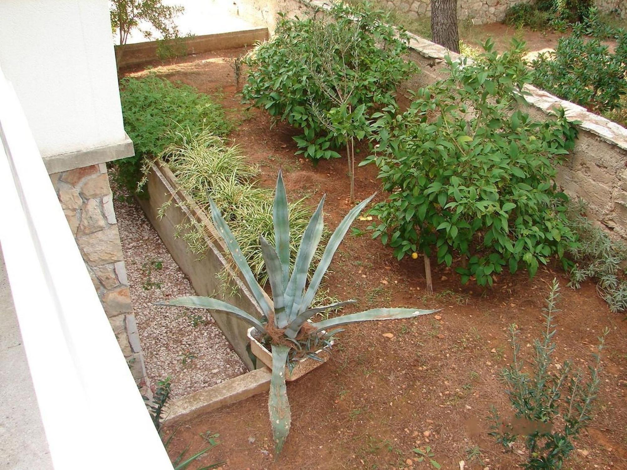 Apartments Matkov - Quite And Peaceful Location Jelsa  Esterno foto